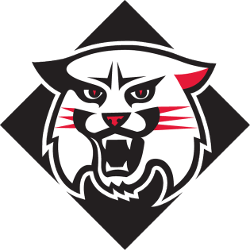 davidson-wildcats-alternate-logo-2010-present-3